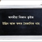 অসমীয়া বিজ্ঞান কুইজ- উদ্ভিদ আৰু ফলৰ বৈজ্ঞানিক নাম