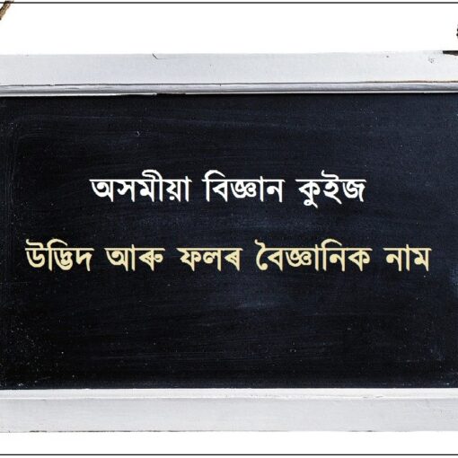 অসমীয়া বিজ্ঞান কুইজ - উদ্ভিদ আৰু ফলৰ বৈজ্ঞানিক নাম 10 অসমীয়া বিজ্ঞান কুইজ- উদ্ভিদ আৰু ফলৰ বৈজ্ঞানিক নাম