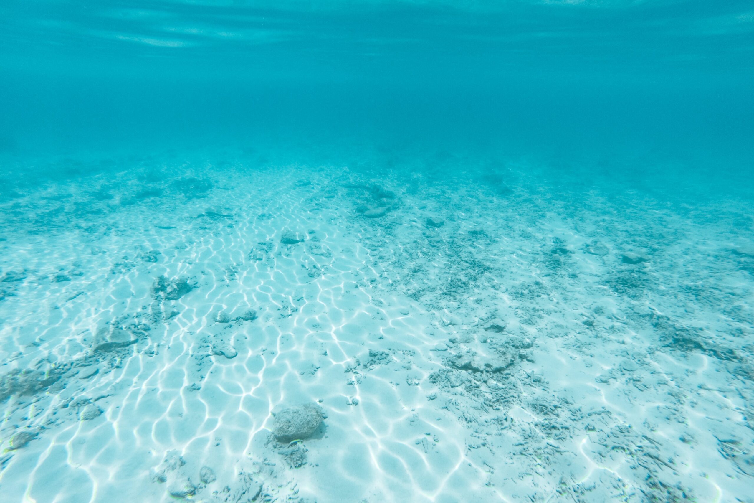 underwater photography of clear body of water
