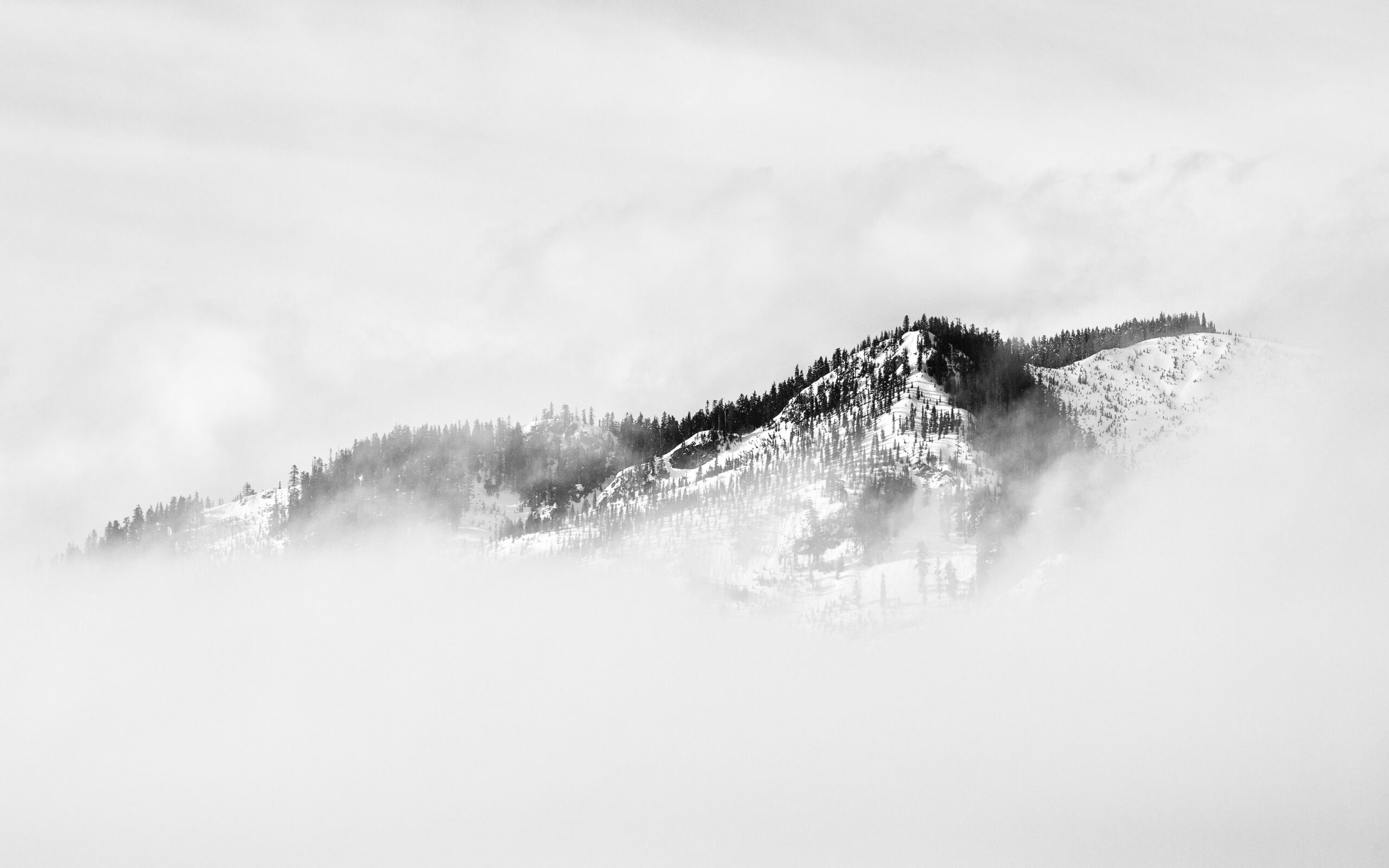 fog covered snow covered mountain