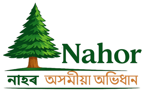 Logo of Nahor Dictionary App