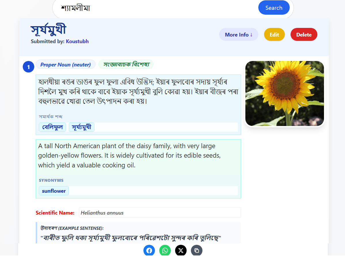 Interface of the Nahor Dictionary search result page